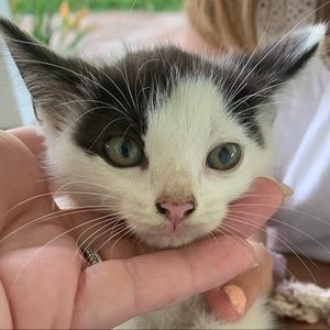 Meet your Posher, Leslie